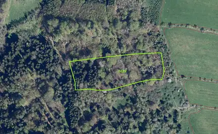 Prodej pole 14 239 m², Petrovice, okres Ústí nad Labem