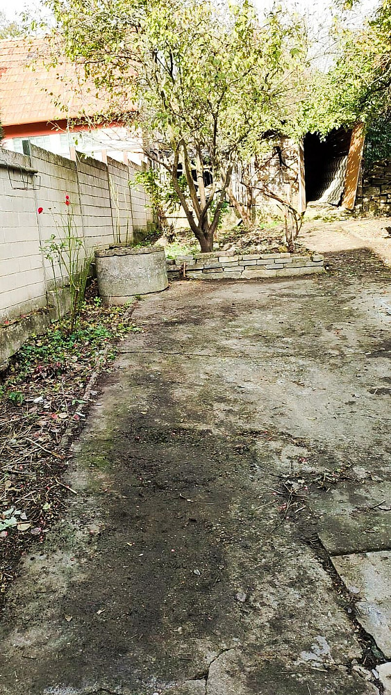 Fotka 26 z 30