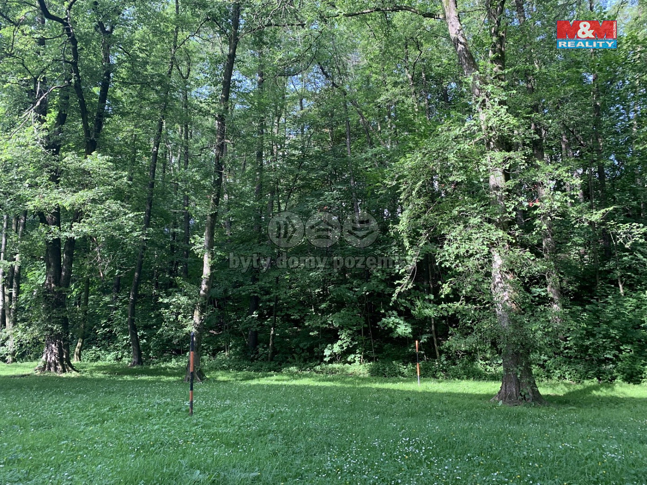 Prodej lesa 9 272 m² — photo 2