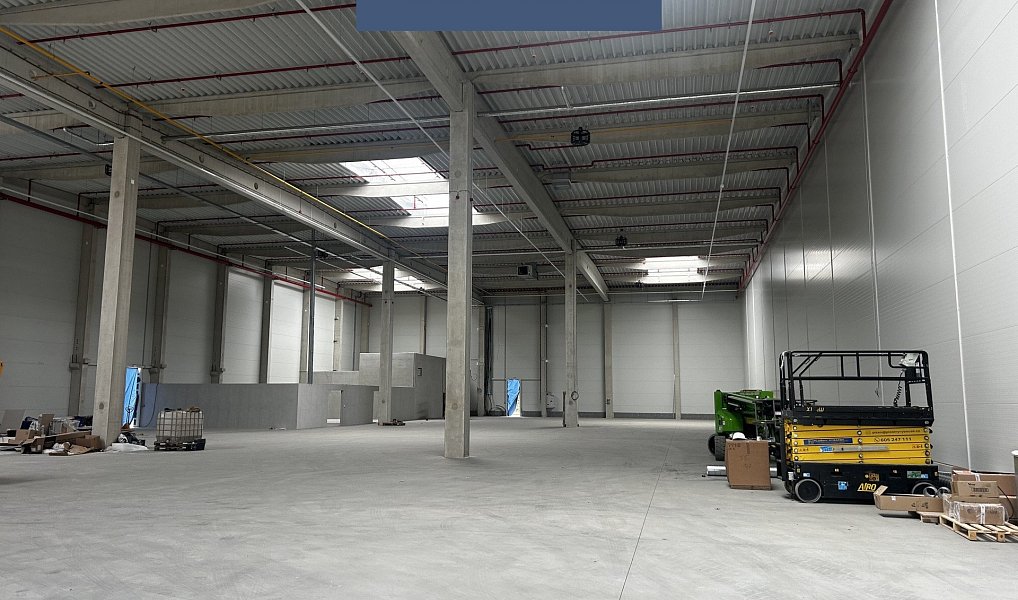 Pronájem skladovacích prostor 2 500 m², Tachov – náhled fotky 5
