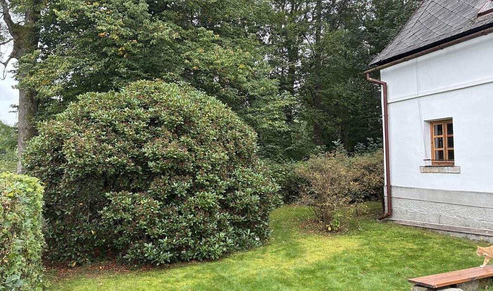 Prodej chaty/chalupy 276 m² s pozemkem 1 180 m², Růžová – náhled fotky 35