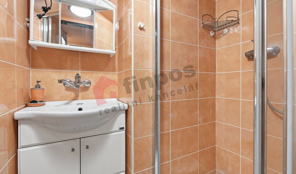 Prodej domu 165 m² s pozemkem 246 m², Šípy – náhled fotky 9