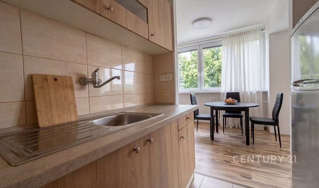 Prodej bytu 1+1 39 m², Mladá Boleslav – náhled fotky 6