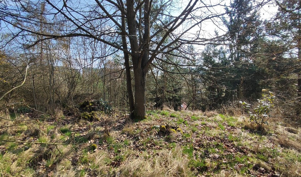 Prodej chalupy 70 m² s pozemkem 1 739 m², Jickovice – náhled fotky 20
