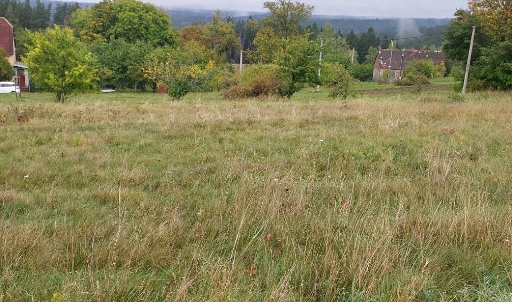 Prodej stavebního pozemku 1 259 m², Chodov – fotka 1 z 9