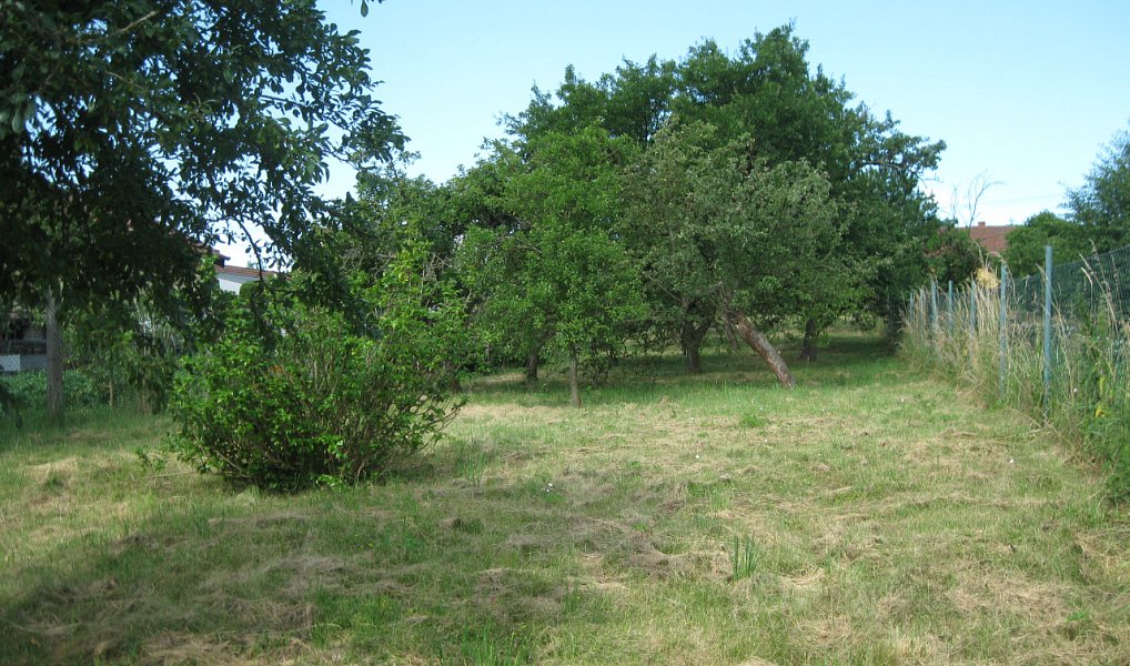 Prodej stavebního pozemku 720 m², Jalubí – náhled fotky 2