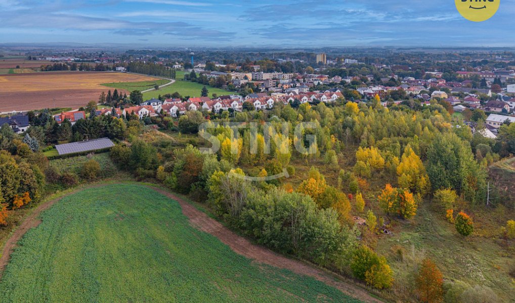 Prodej stavebního pozemku 63 998 m², Předměřice nad Labem – náhled fotky 3