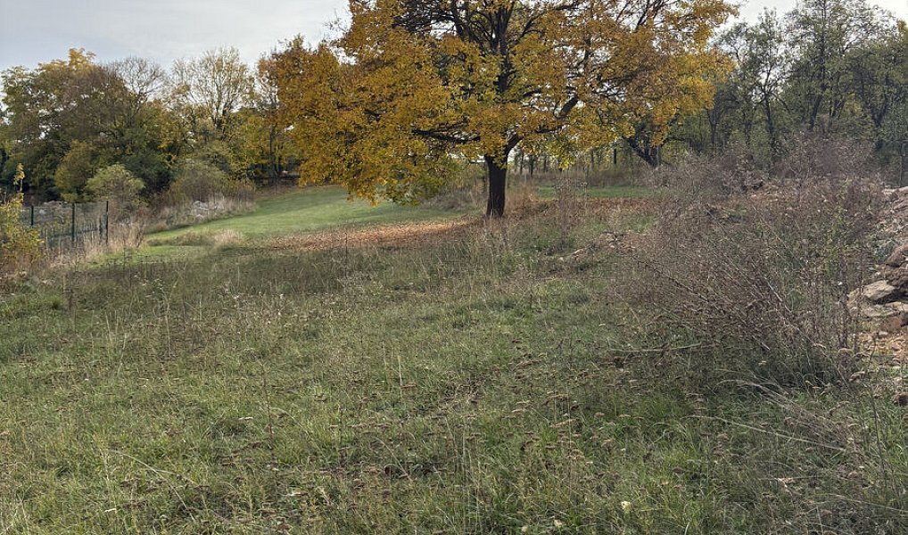Prodej stavebního pozemku 2 948 m², Grešlové Mýto – náhled fotky 2