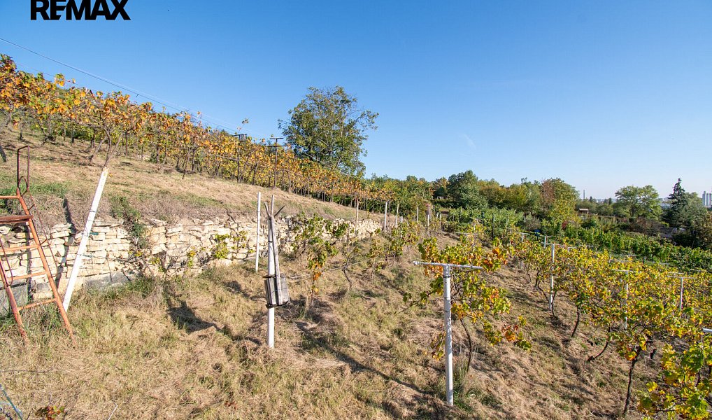 Prodej domu 110 m² s pozemkem 5 026 m², Velké Žernoseky – náhled fotky 8
