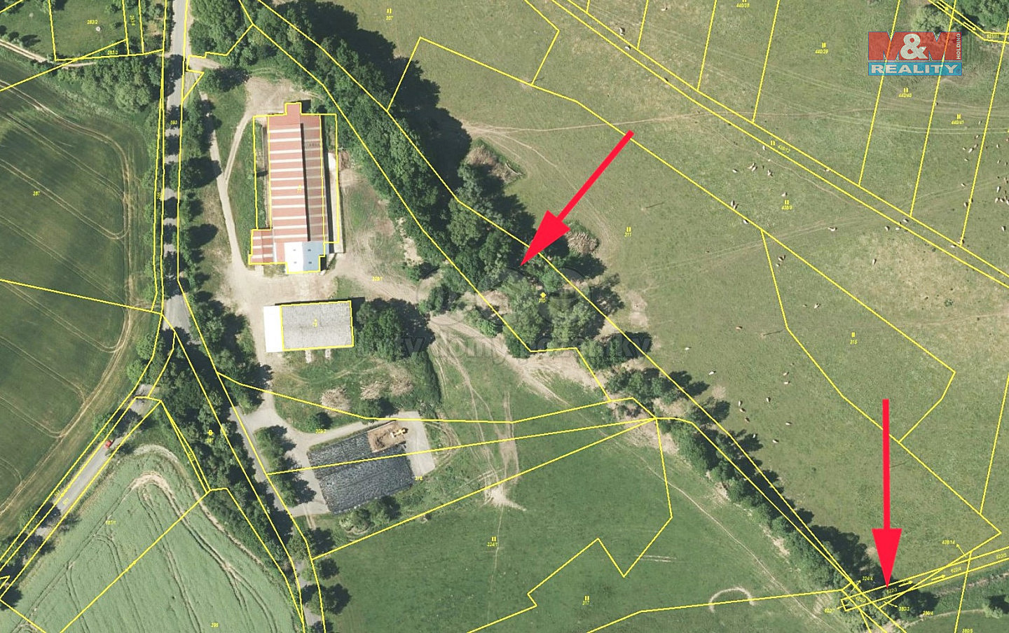 Prodej louky 3 245 m² — photo 5