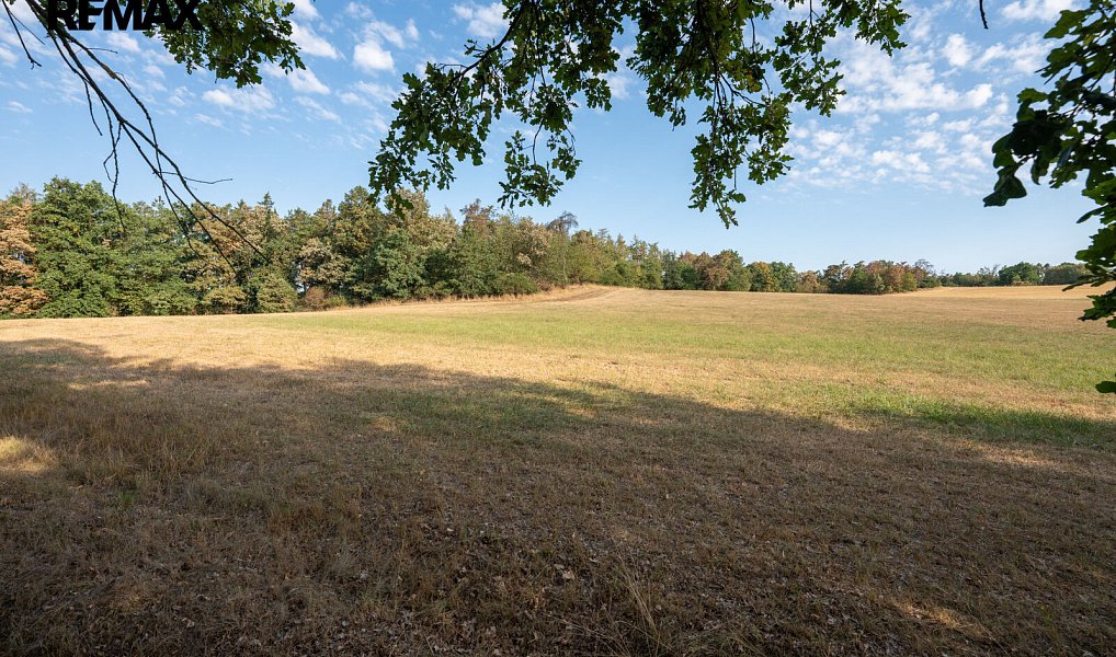 Prodej pole 11 767 m², Benešov – náhled fotky 9