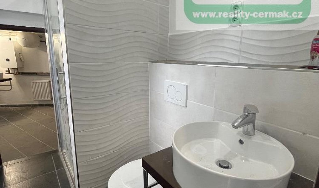 Pronájem domu 220 m² s pozemkem 240 m², Mířkov – náhled fotky 9