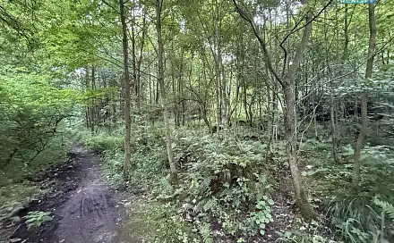 Prodej lesa 5 139 m², Tábor - Horky