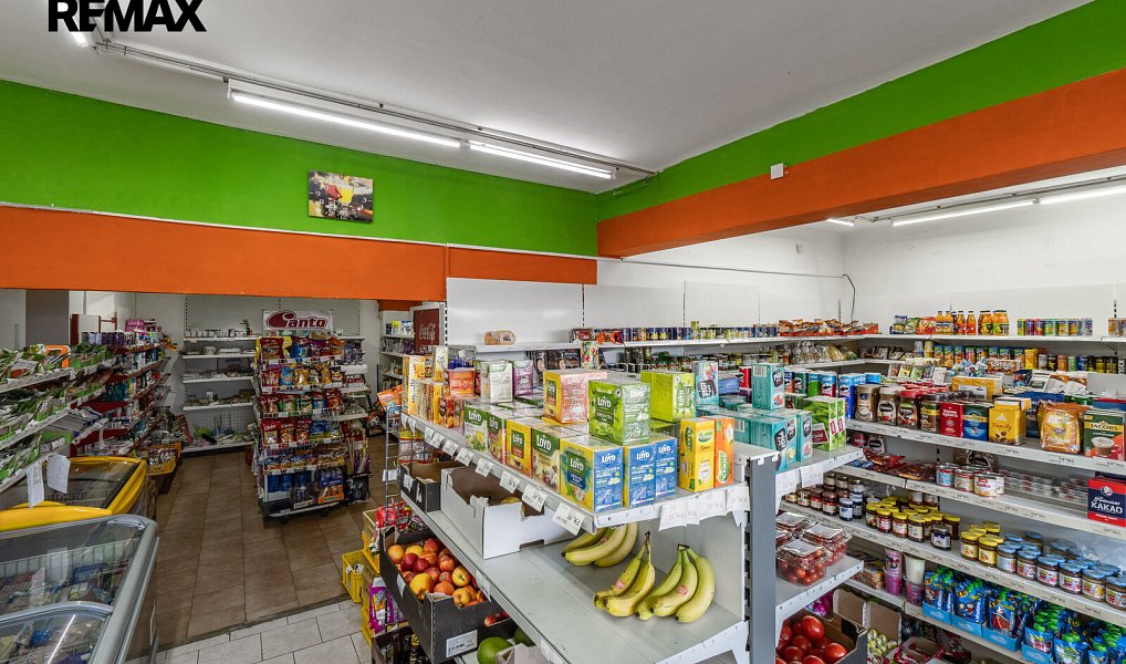 Prodej nájemního domu, činžáku 897 m², Bojanovice – náhled fotky 18