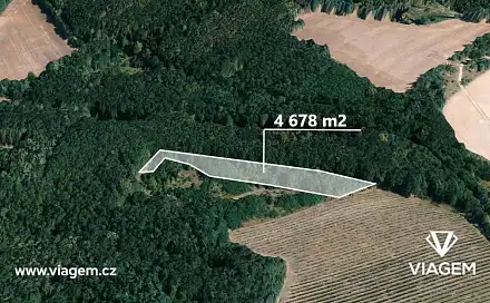 Prodej lesa 1 559 m², Dolní Kounice, okres Brno-venkov