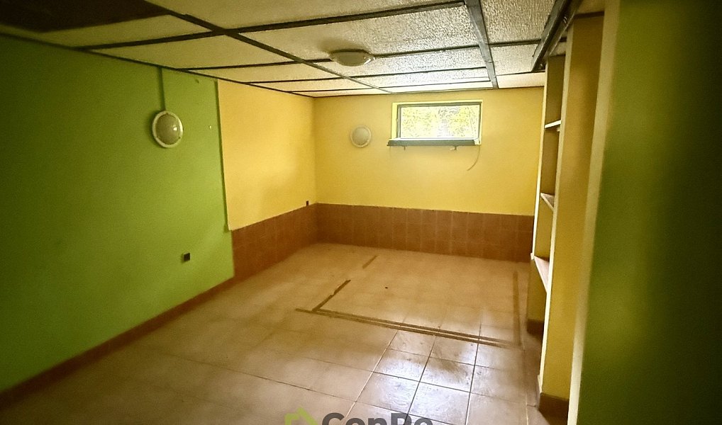 Prodej domu 297 m² s pozemkem 2 452 m², Provodín – náhled fotky 19