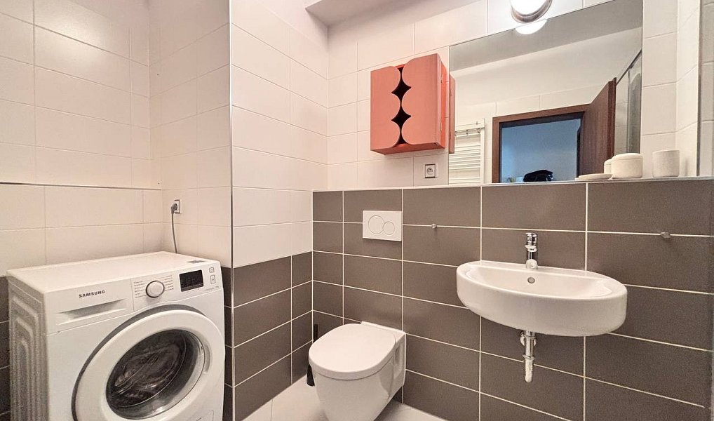 Pronájem bytu 1+kk 30 m², Praha – náhled fotky 12