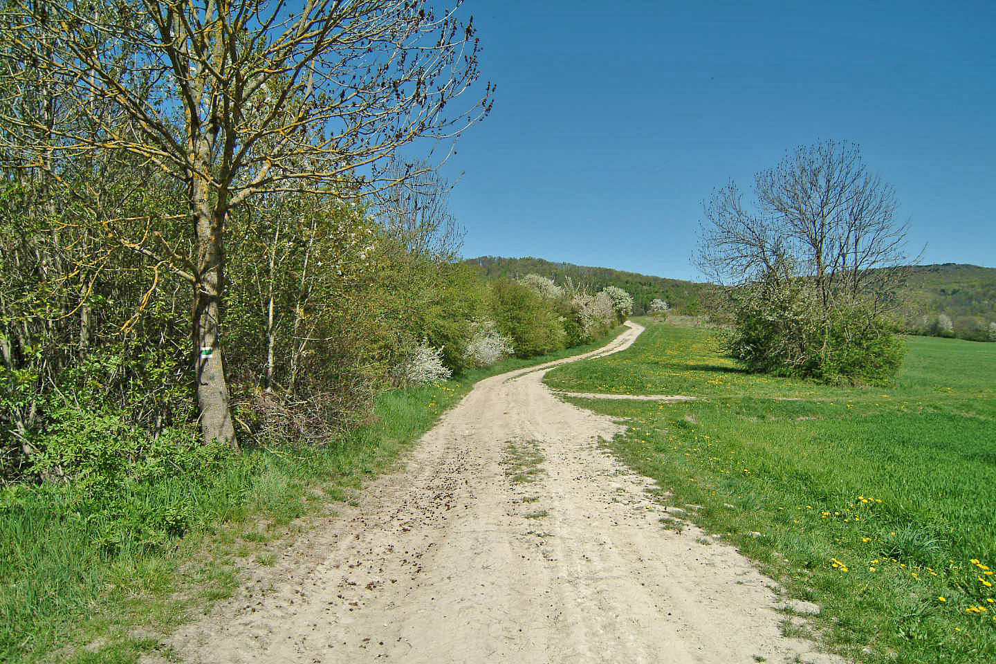 Prodej louky 873 m²