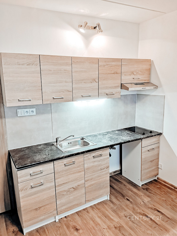 Pronájem bytu 1+kk 21 m²