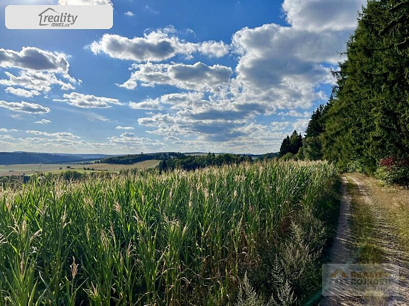Prodej stavebního pozemku 3 146 m² – fotografie 5