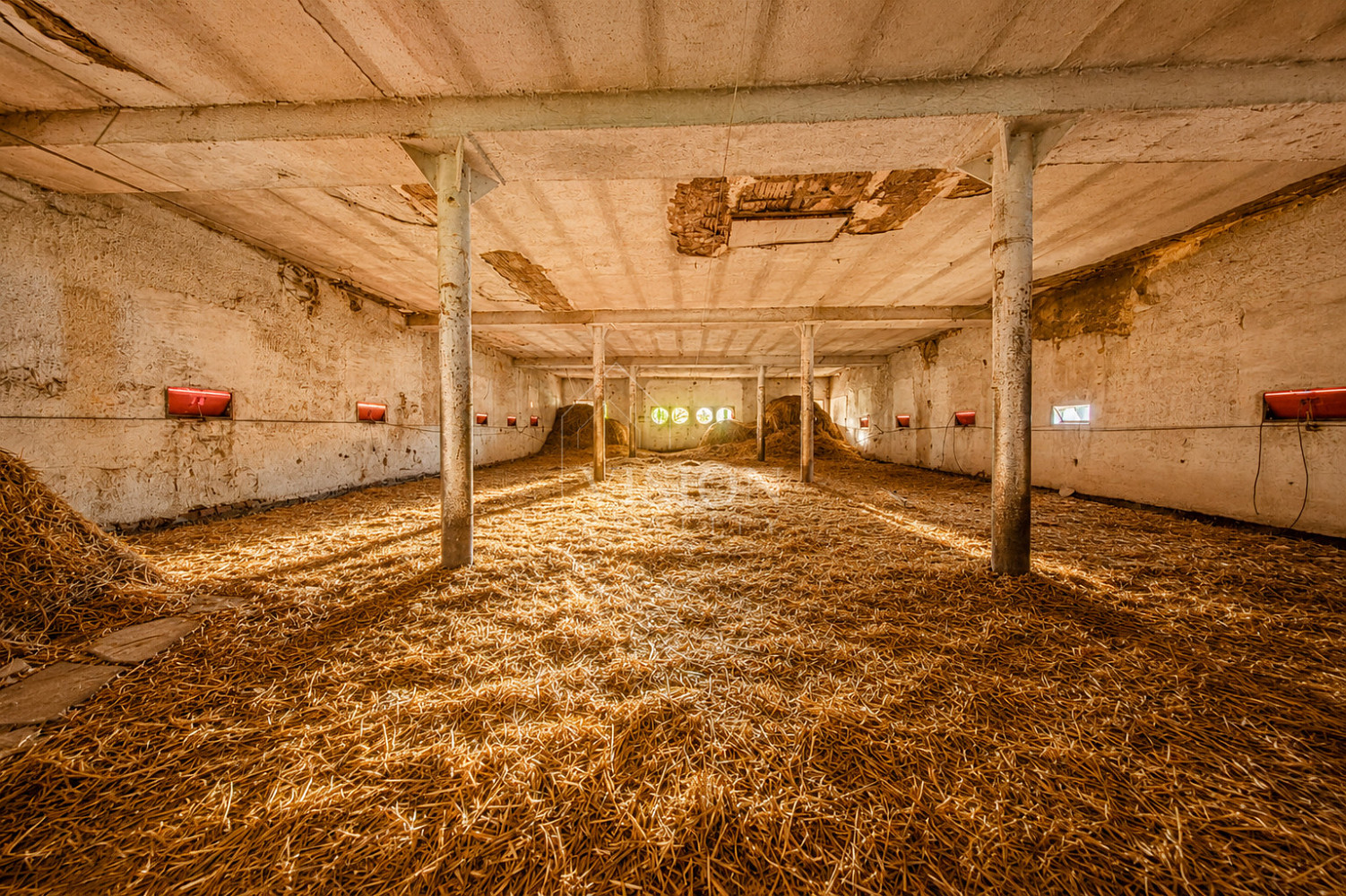 Prodej, zemědělská stavba, rojice — photo 5