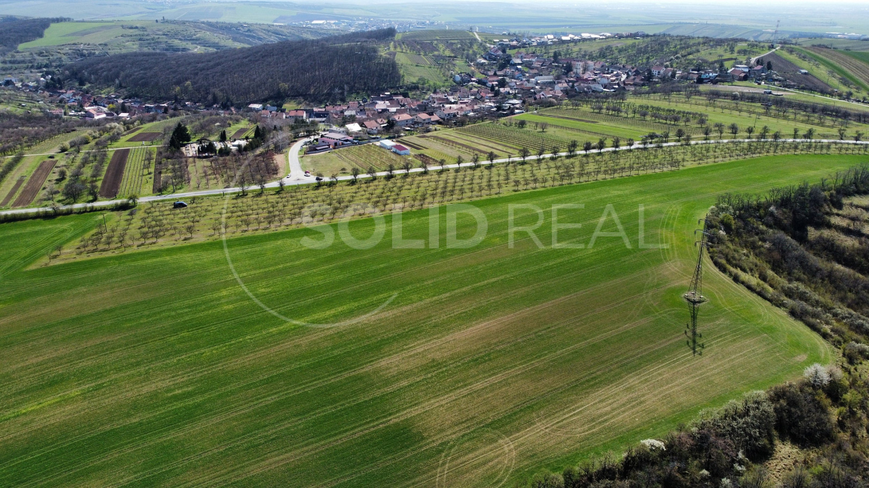 Prodej pole 24 643 m² – fotografie 2