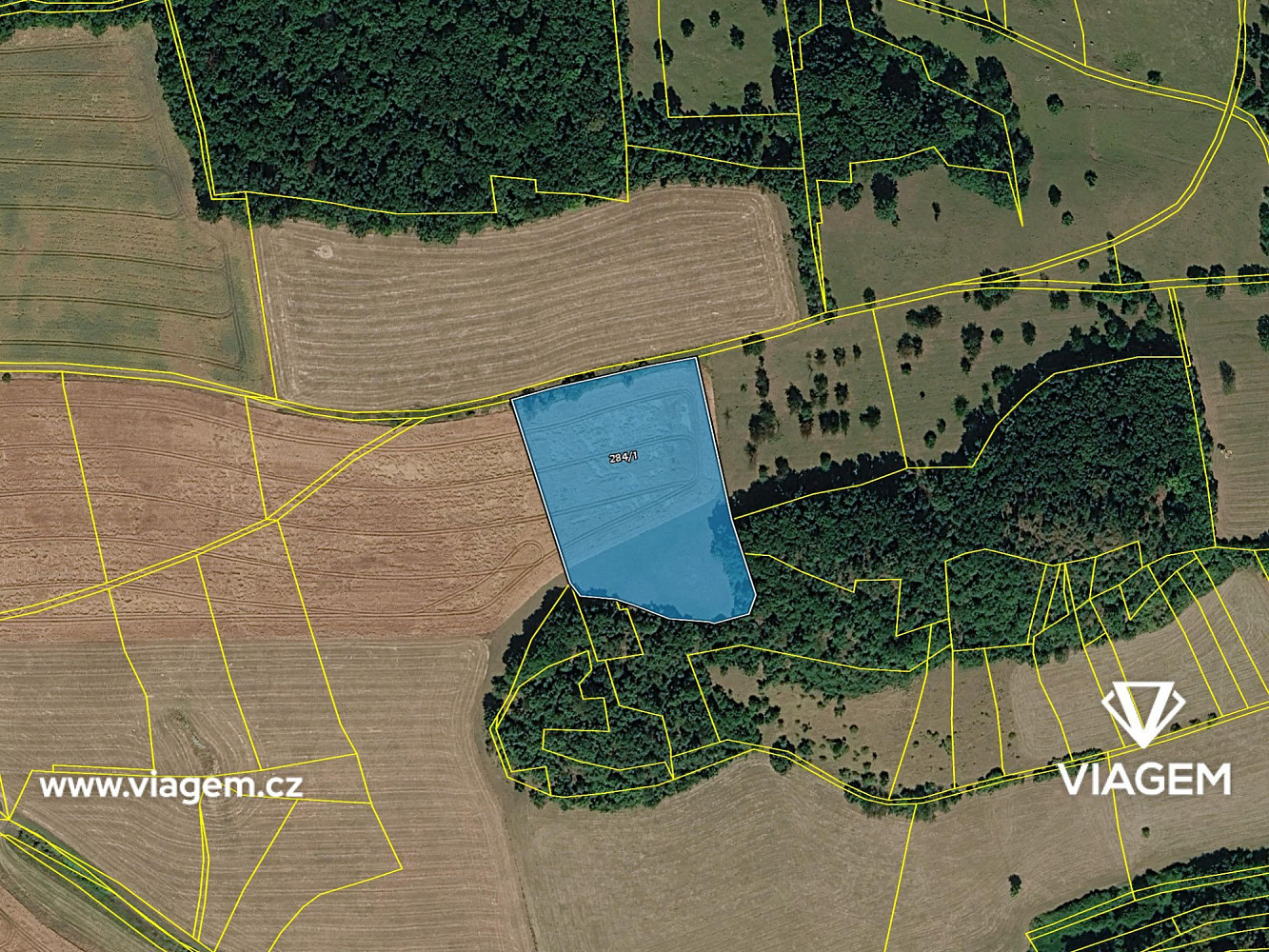 Prodej pole 2 286 m² – fotografie 4