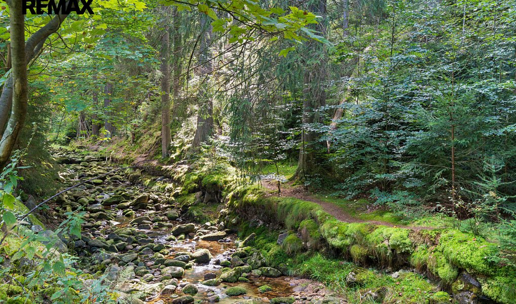 Prodej bytu 1+kk 36 m², Harrachov – náhled fotky 28