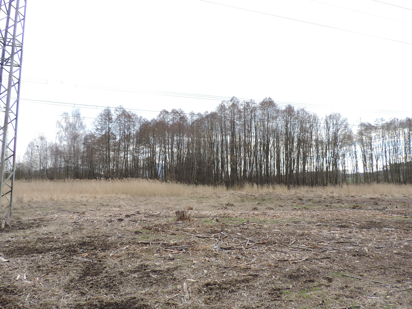Prodej vodní plochy 486 m²