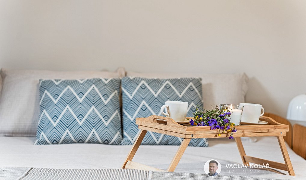 Prodej bytu 3+kk 96 m², Vítkovice – náhled fotky 29