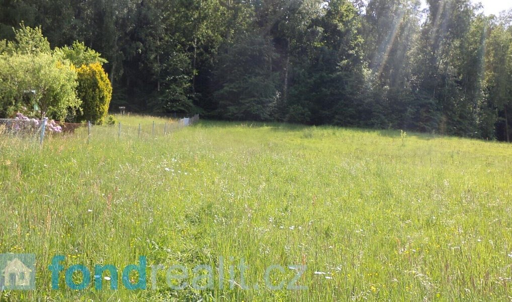 Prodej pozemku 4 634 m², Dolní Dobrouč – náhled fotky 2