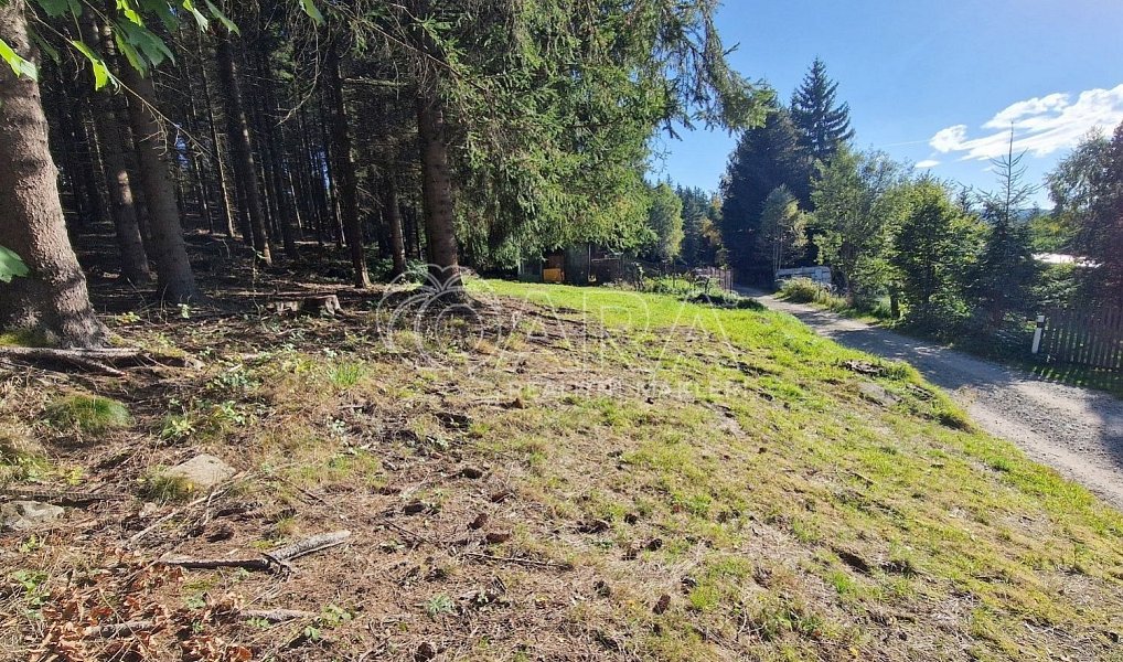 Prodej chaty/chalupy 10 m² s pozemkem 405 m², Lenora – náhled fotky 6