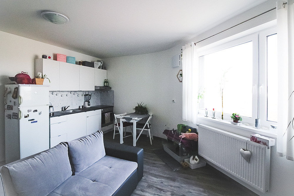 Pronájem bytu 1+kk 31 m² — photo 2