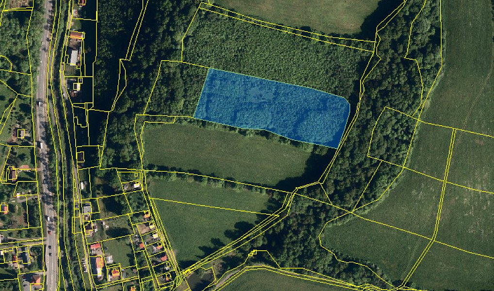 Prodej lesa 15 225 m², Nový Jičín – náhled fotky 5