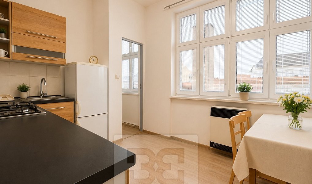 Pronájem bytu 1+1 38 m², Prostějov – náhled fotky 4
