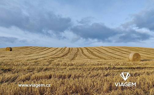 Prodej pole 6 270 m², Záhornice, okres Nymburk