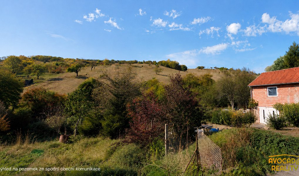 Prodej louky 21 034 m², Ždánice – náhled fotky 6