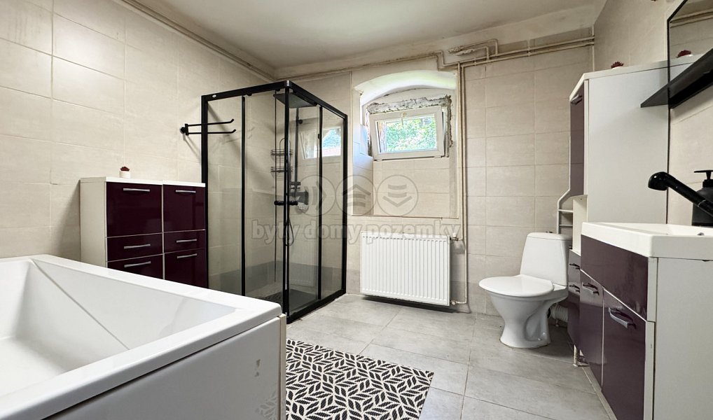Prodej domu 295 m² s pozemkem 1 044 m², Děpoltovice – náhled fotky 11