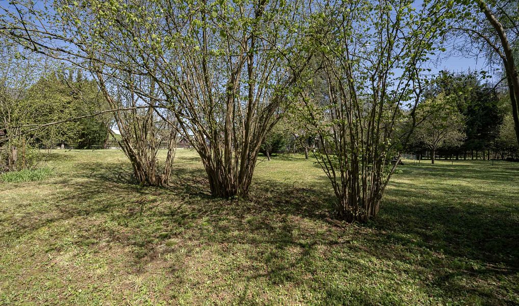 Prodej stavebního pozemku 2 357 m², Nová Paka – náhled fotky 10