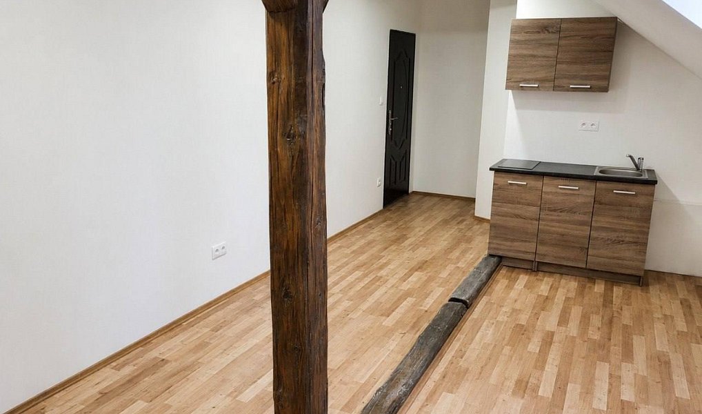 Pronájem bytu 1+kk 30 m², Strančice – náhled fotky 7