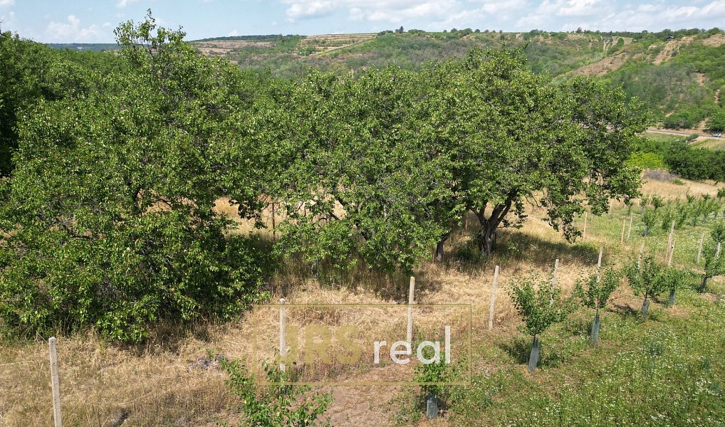 Prodej pole 358 m², Němčičky – náhled fotky 9