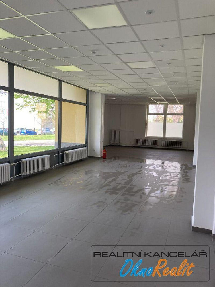 Pronájem obchodních prostor 255 m² – fotografie 4