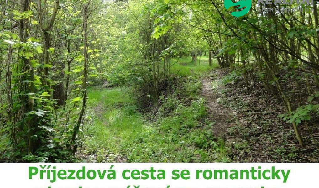 Prodej stavebního pozemku 4 474 m², Ústí nad Labem – náhled fotky 8