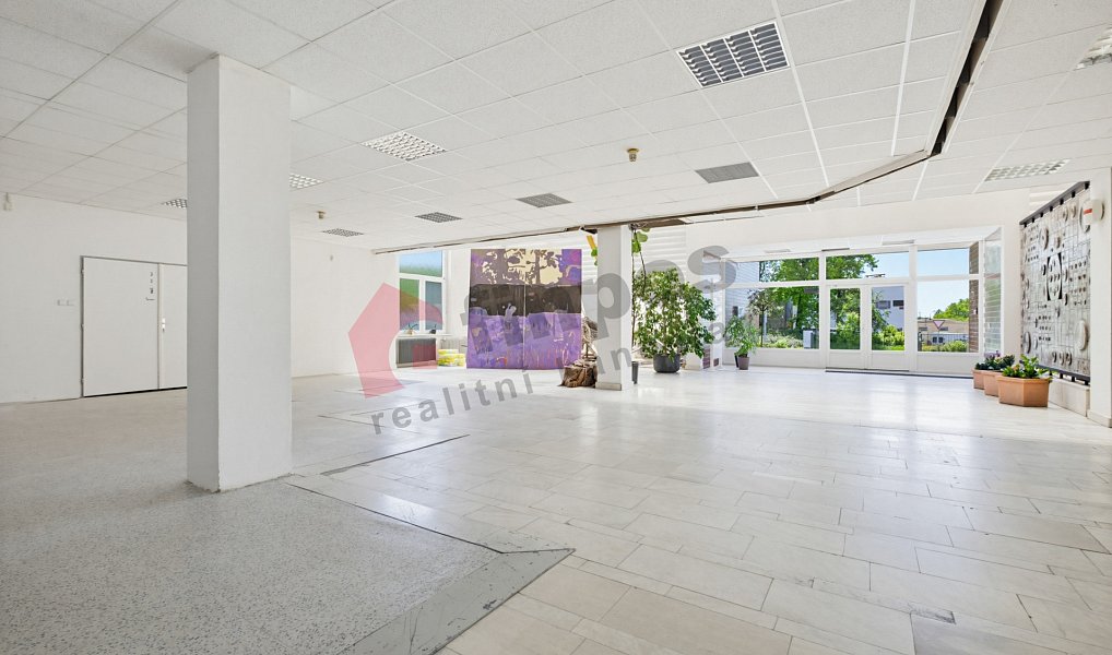 Pronájem obchodních prostor 194 m², Tábor – náhled fotky 10