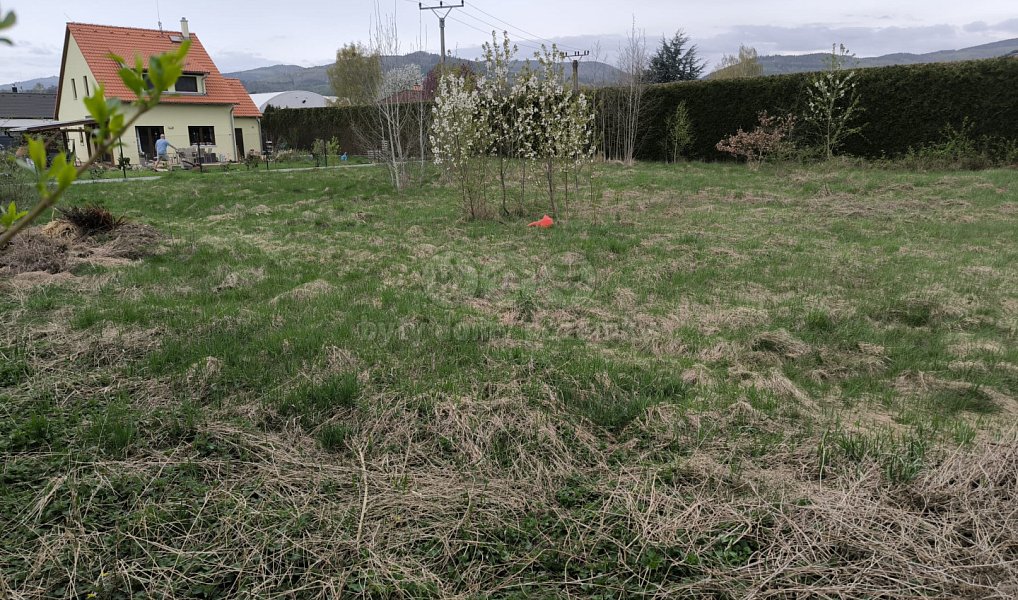 Prodej stavebního pozemku 875 m², Ostrov – náhled fotky 3