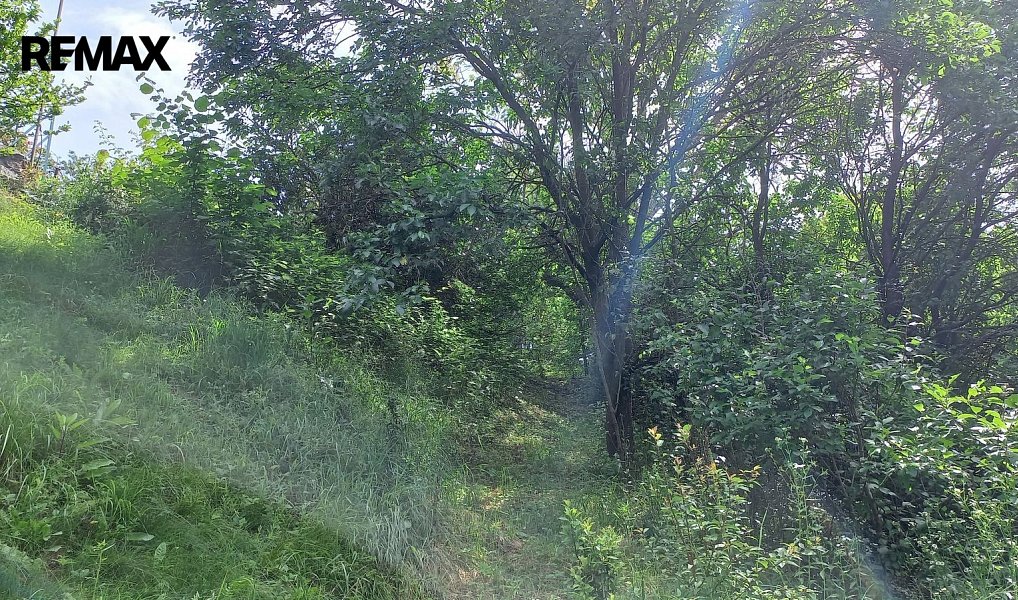 Prodej zahrady 1 853 m², Bílovice nad Svitavou – náhled fotky 4
