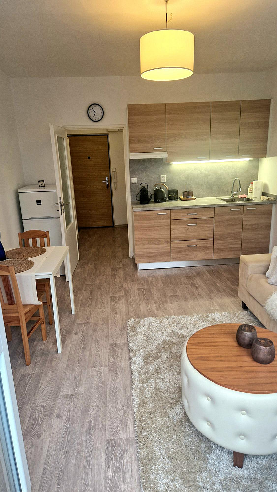 Pronájem bytu 1+kk 23 m² – fotografie 4