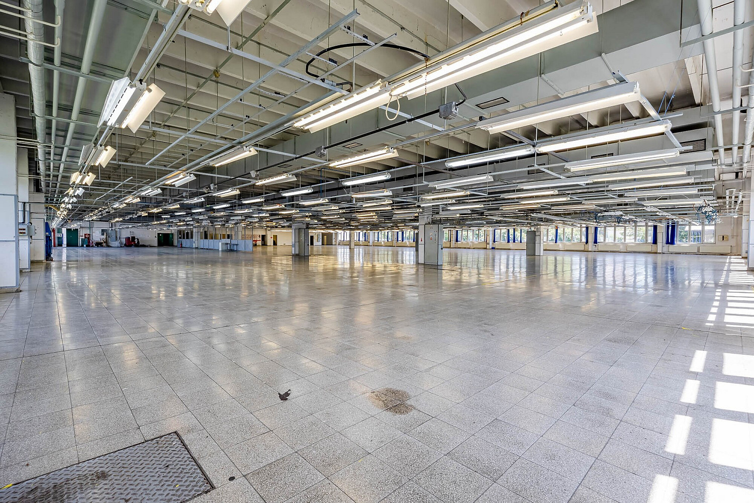 Fotka 7 z 30