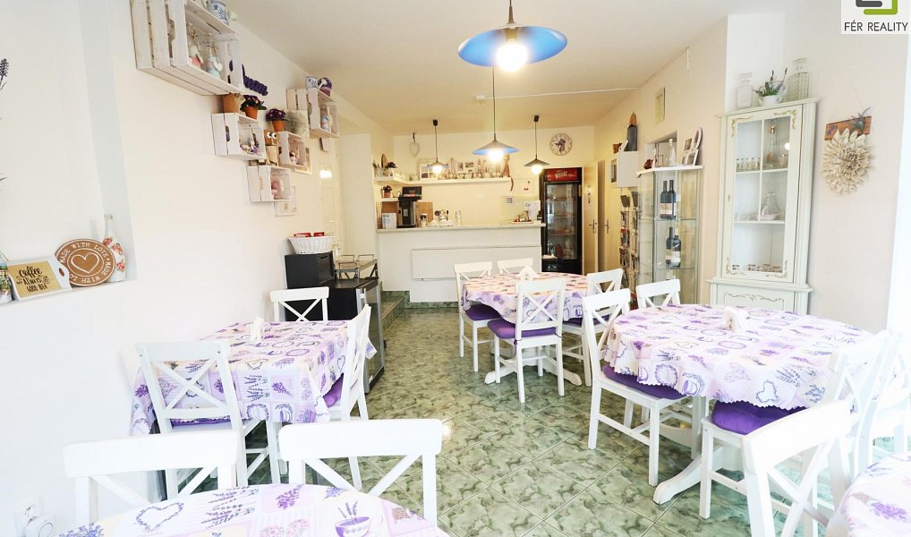 Prodej ubytovacího objektu 607 m², Vědomice – náhled fotky 11