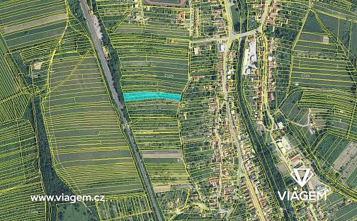 Prodej zahrady 559 m², Velká nad Veličkou, okres Hodonín